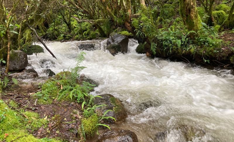 The fast-flowing river guided our path as we hiked up the valley.