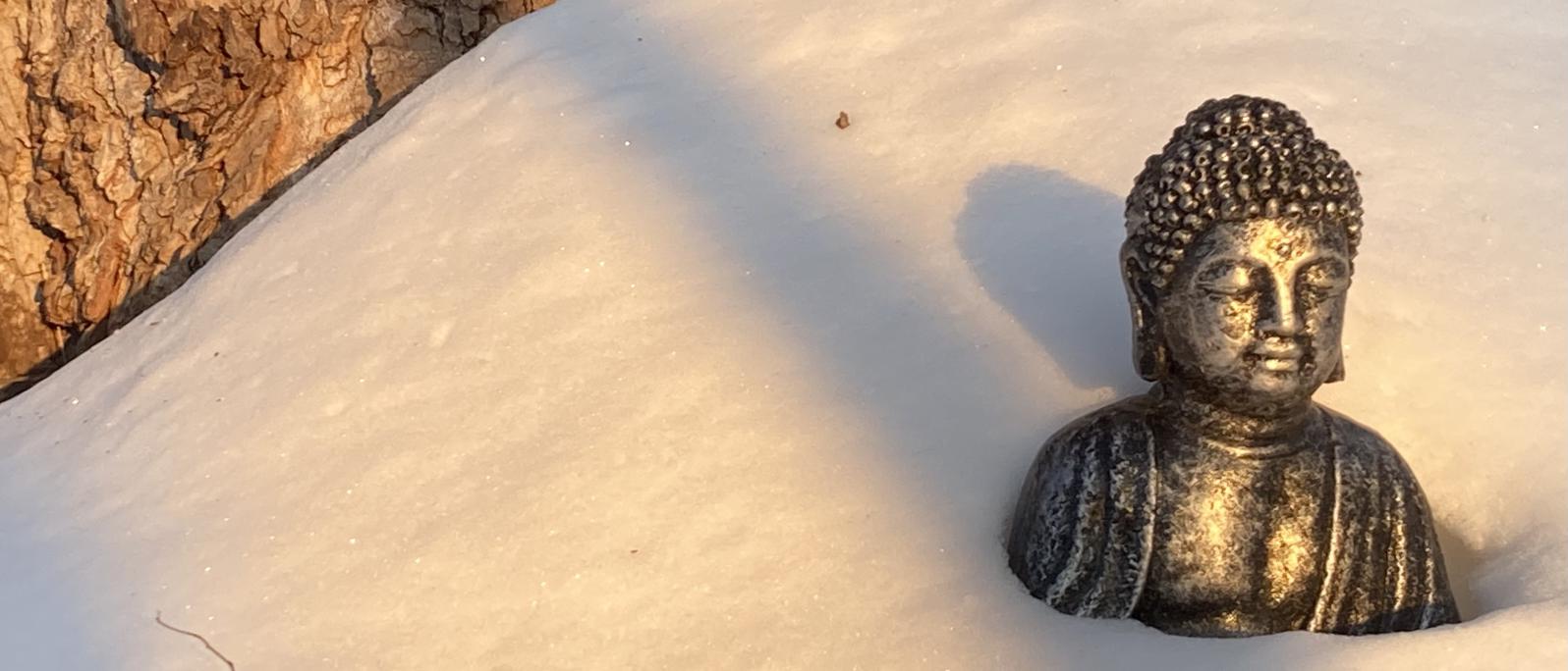 The early morning sun splays shadows on a snow-covered statue of the Buddha resting at the base of a tree.